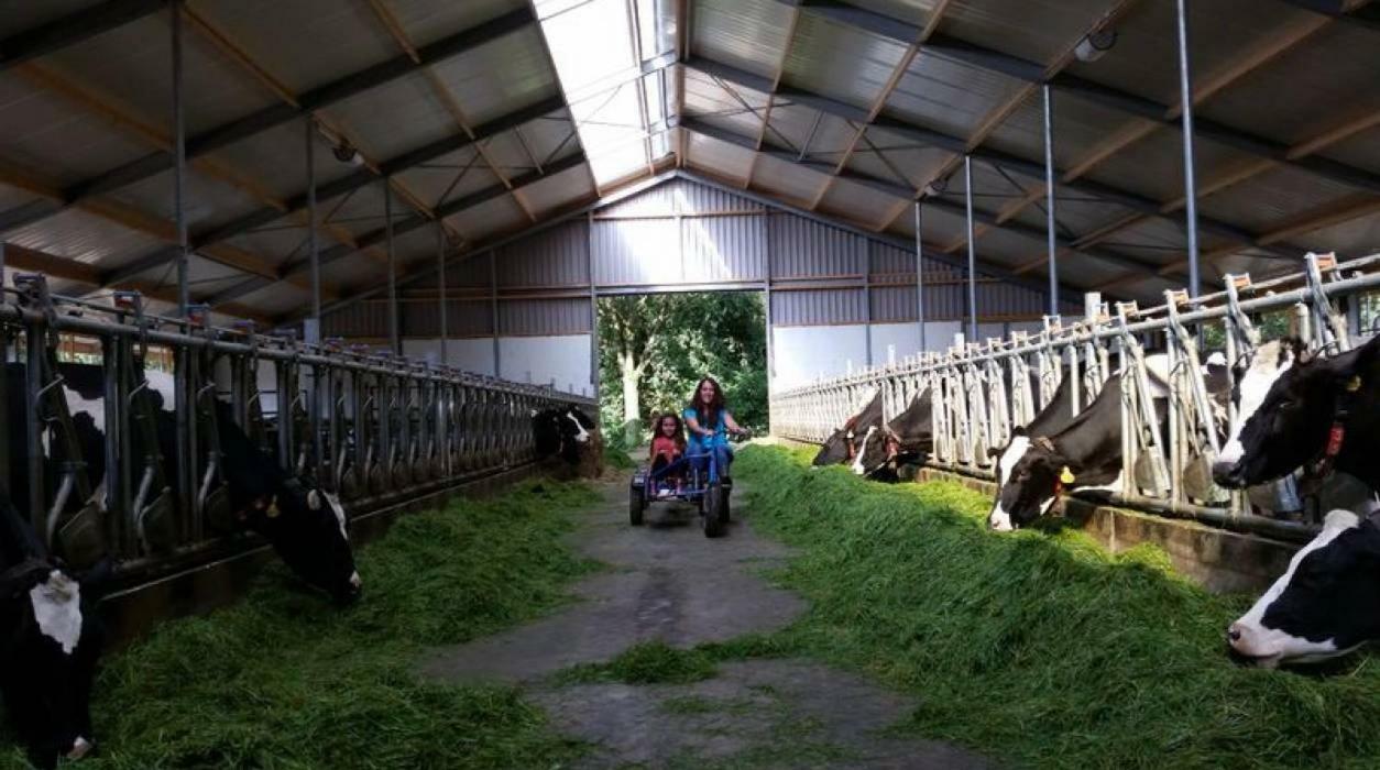 Hoeve De Pippert Hotel Ophemert Buitenkant foto